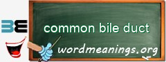 WordMeaning blackboard for common bile duct